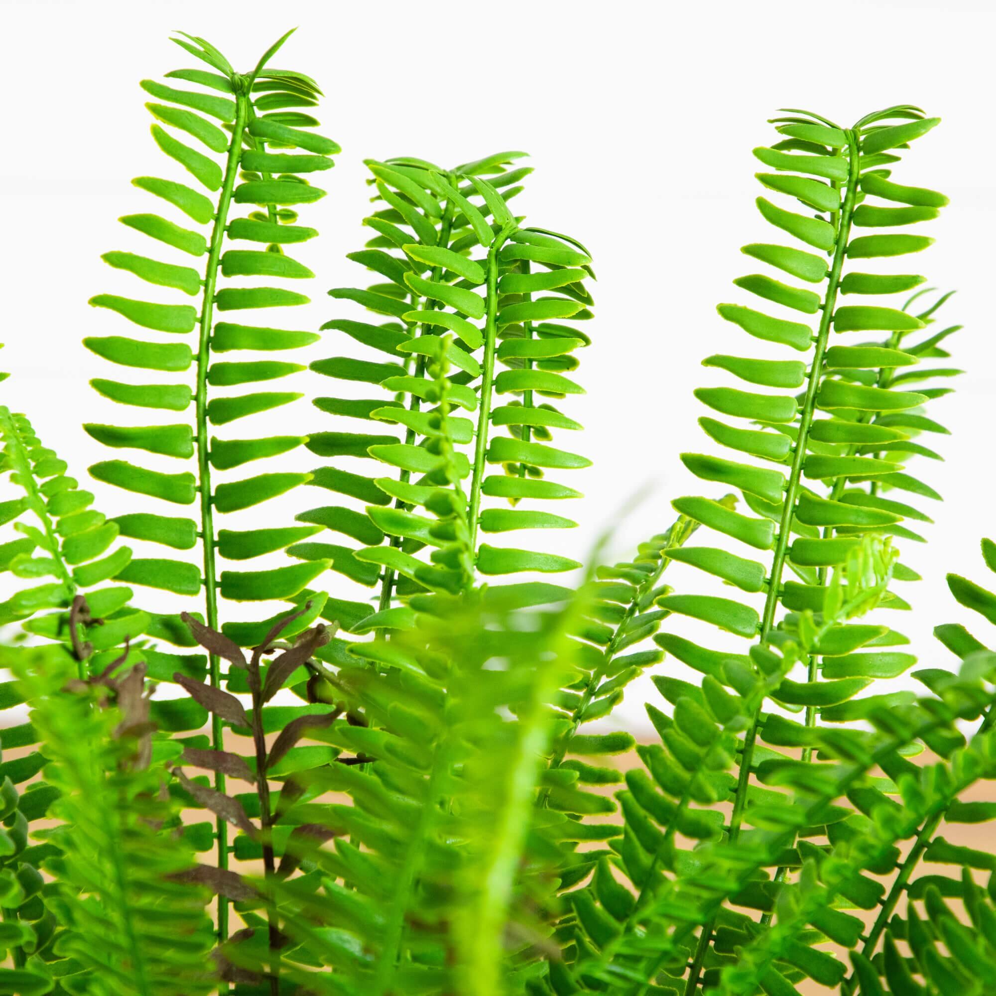 27in. UV Resistant Artificial Boston Fern Plant with Real Touch Leaves (Indoor/Outdoor)